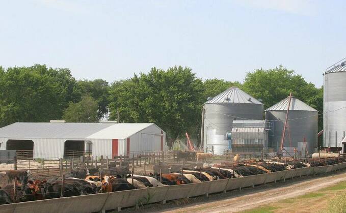 US beef production up in 2020