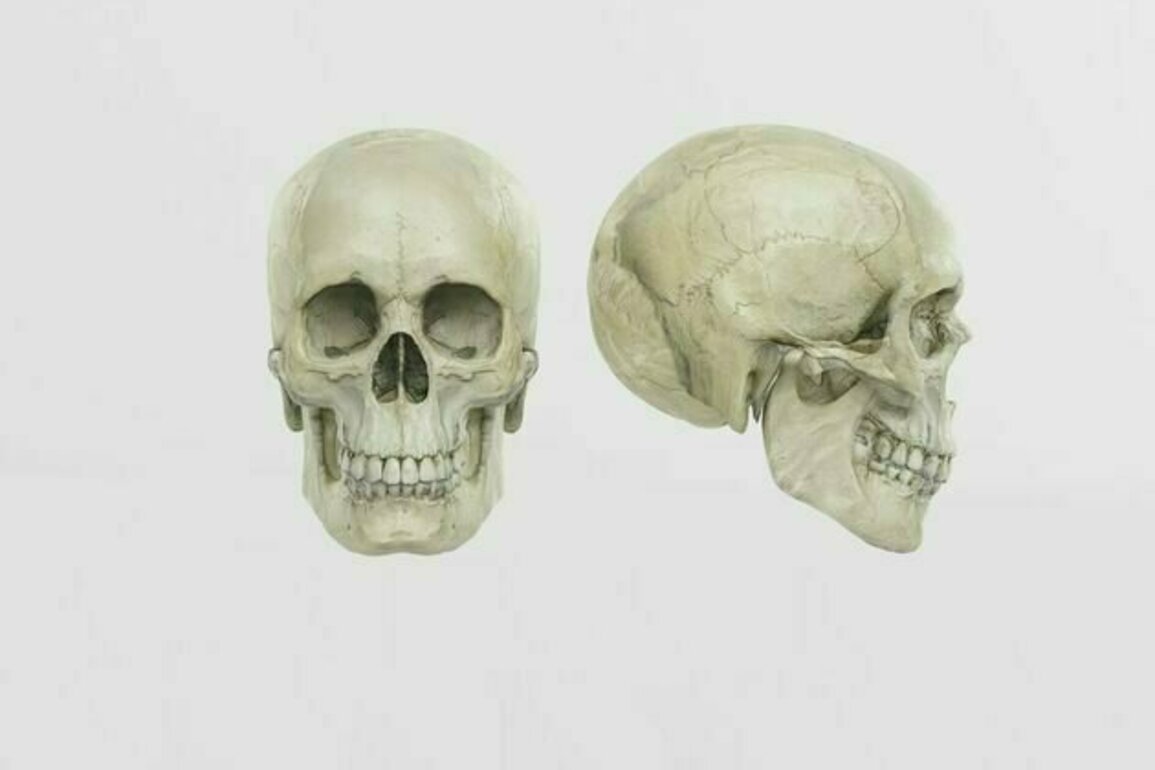 Trading human remains: why bones should not become a commodity