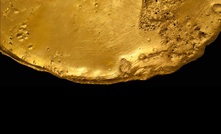 Sentinel sizzles on market debut