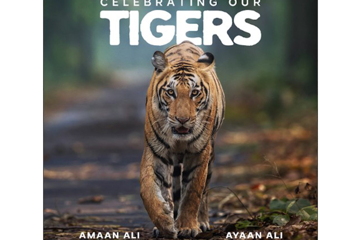 Amaan Ali Bangash, Ayaan Ali Bangash announce new album 'Celebrating Our Tigers'