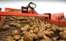 Farm fined after worker's leg trapped in a potato harvester