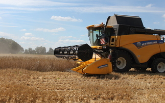 Hybrid rye: a practical alternative as wheat margins tighten