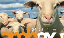 Get in early for LambEx 2018