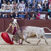 Court rejects appeal as Colombia phases out bullfighting, cockfighting
