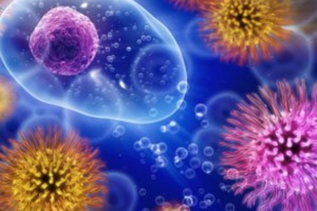 Coronavirus may prove virtual sports game changer