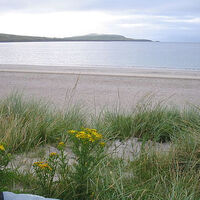 IBAL report finds significant drop in Ireland’s beach litter