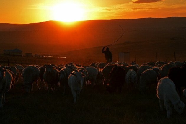 Land reform in South Africa: 5 myths about farming debunked