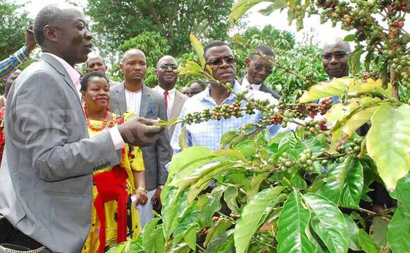 Katikkiro nga bamulaga emmwaanyi Katikkiro nga bamulaga emmwaanyi