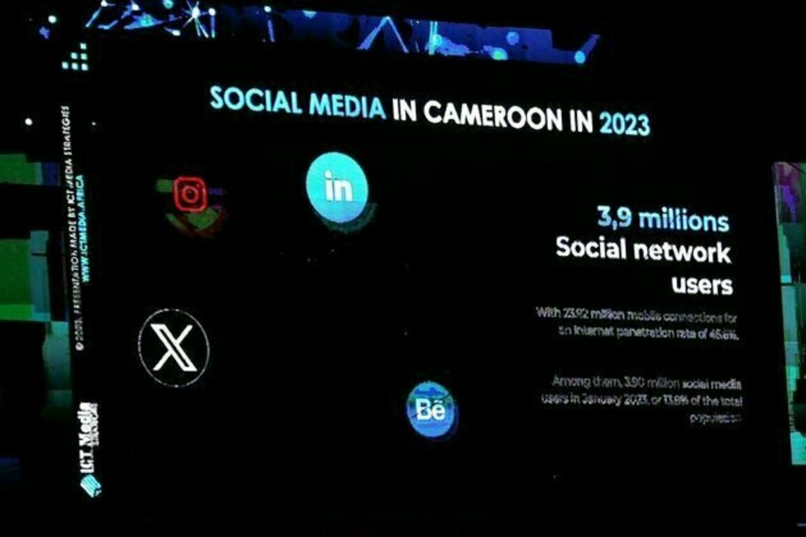 Cameroun : une etude montre ce que les reseaux sociaux font  la politique - et vice-versa