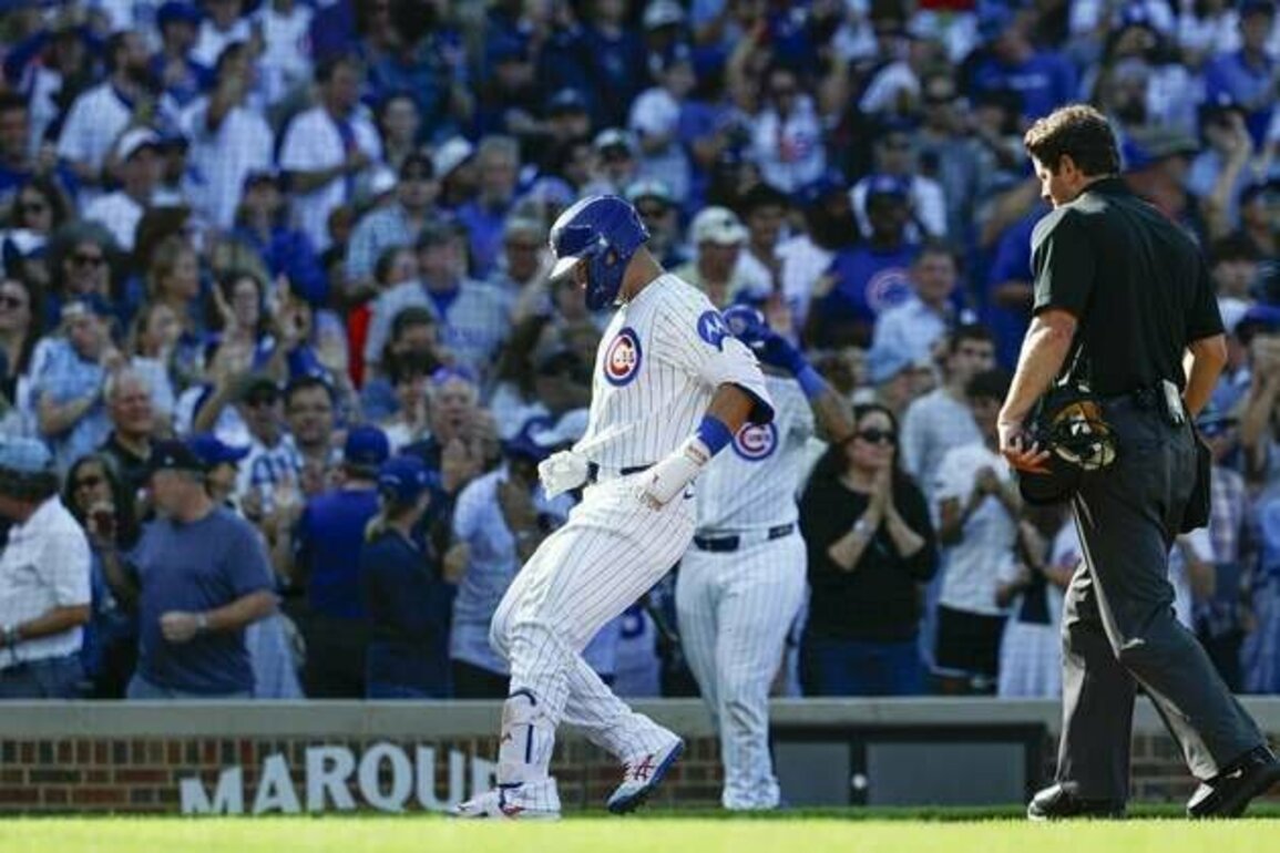Cubs blank Cardinals in postseason tune-up