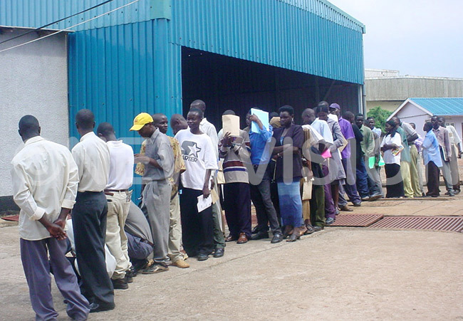  gandas unemployment levels are so high that such lines of job seekers are a common sight where any opportunities arises