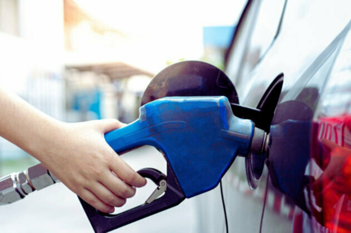 Oil Expert: Euro Changeover Wont Impact Fuel Prices in Bulgaria