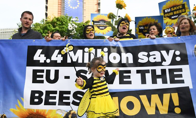 EU to ban bee-killing pesticides EU to ban bee-killing pesticides
