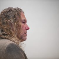 Everything is set for the Ross Creek shooter trial to start in January - Park Record