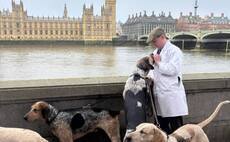 Hounds and trail hunters descend on Westminster to fight for future of beloved sport