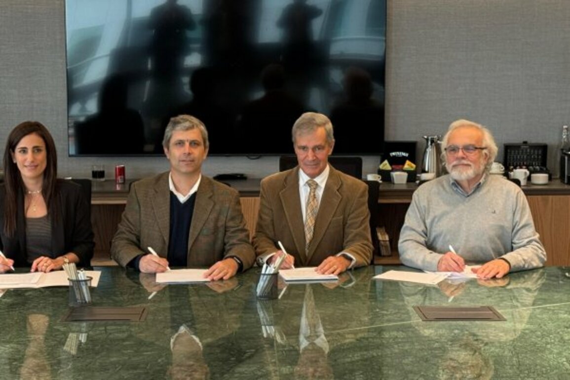Solarity compra 32 plantas solares de autoconsumo a la empresa chilena Enlasa - Diario Financiero