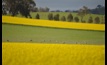 The Agricultural Census will provide an accurate picture of Australian agriculture. Picture Mark Saunders.