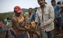 Rescuers carry an injured dog to safety in Bento Rodrigues. Photograph: Felipe Dana/AP