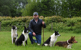 Welsh National Sheepdog Trial: Brecon based trialists dominate