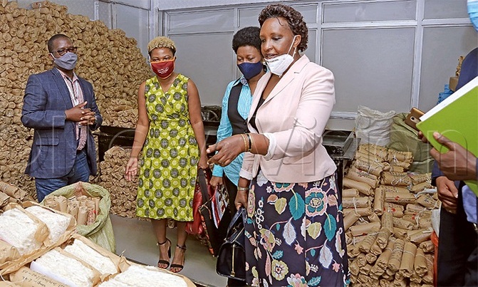 Cotton export revenue set to increase Cotton export revenue set to increase