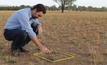  Zoning in: Dr Jeff McCormick assesses drought-affected pastures to see if they will recover or need replacing. Photo: Emily Malone