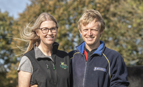 Maximising opportunities to build a thriving beef enterprise on tenant farm