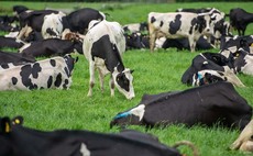Rising input costs make milk price unsustainable