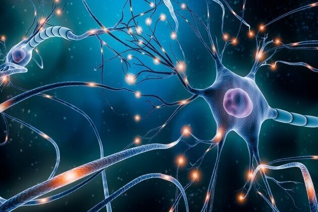 NYU Abu Dhabi, University of Denver researchers develop technology for brain disorder treatment