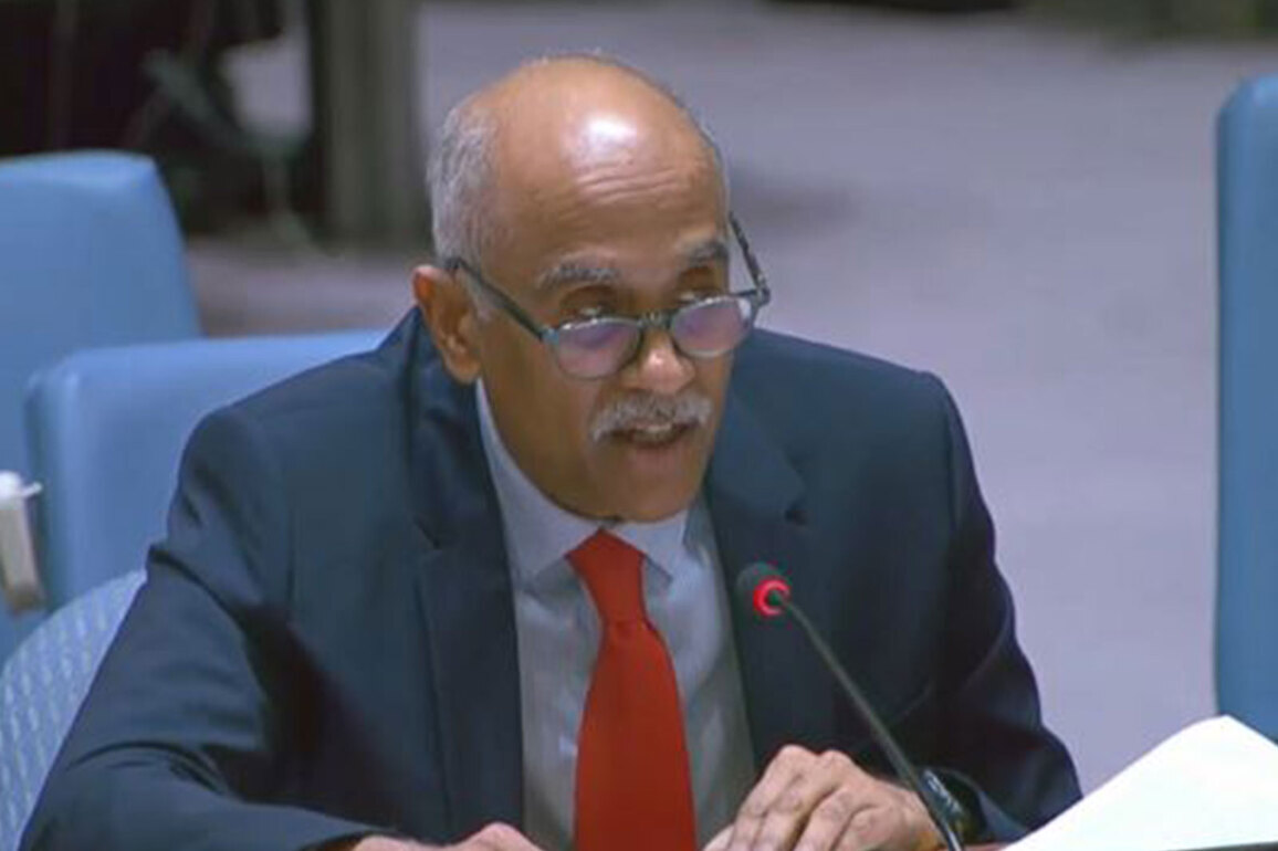 UNSC must be a living instrument, not a fossil: India renews call for reforms, expansion of Security Council