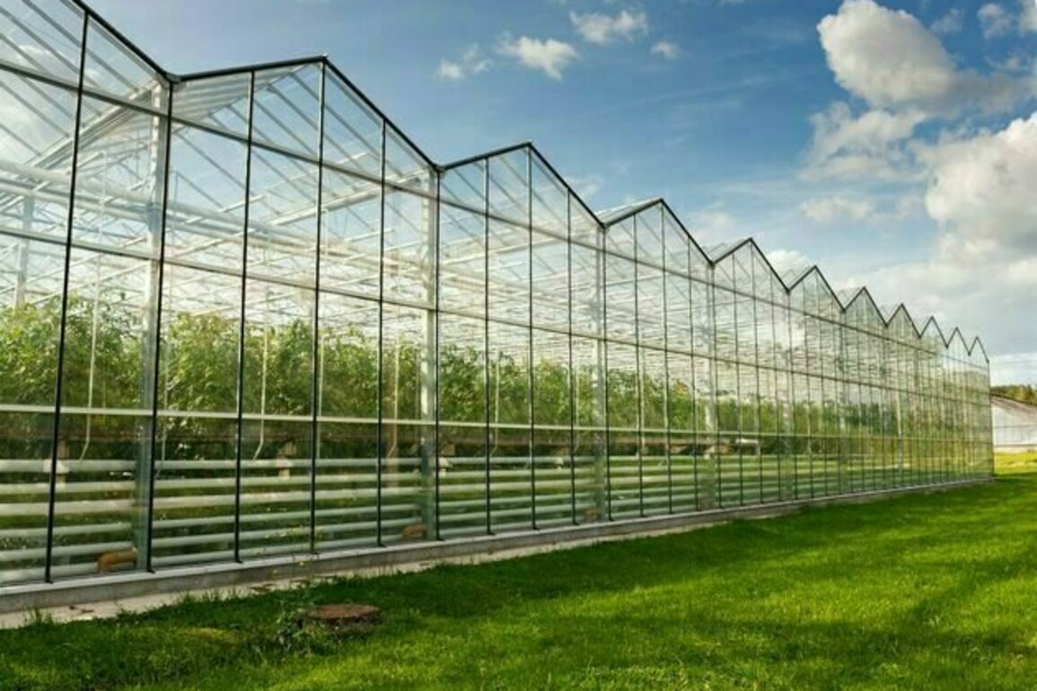 Why burning waste to power a giant greenhouse really could be a greener way of growing food