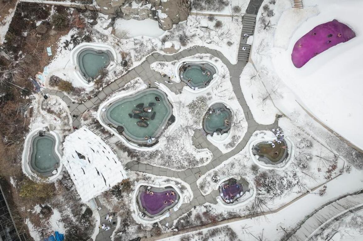 InPics | NE China's Shenyang combines ice and snow with hot springs