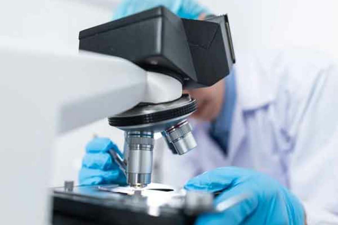 New antibody reduces tumor growth in treatment-resistant breast, ovarian cancers: Study