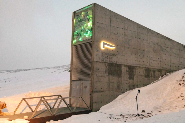 Arctic doomsday seed vault gets more than 14,000 new samples