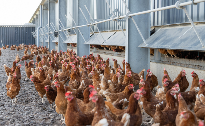 Welsh farmers plea for GB-wide housing order 