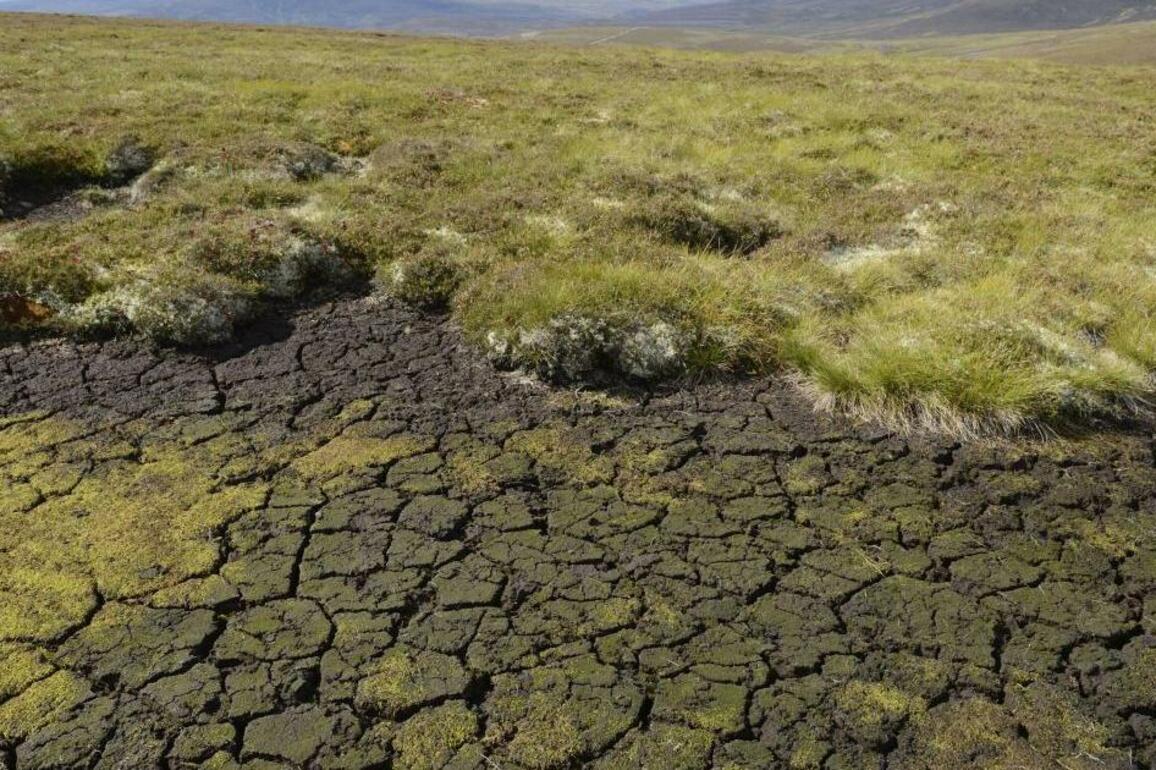 Half of Scotlands river catchments now at alert for water scarcity - The Herald