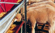 Ensure livestock feed free from chemical residue