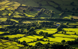 Expiring Countryside Stewardship agreements put environmental projects at risk