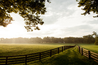 Navigating a new era for pension inheritance