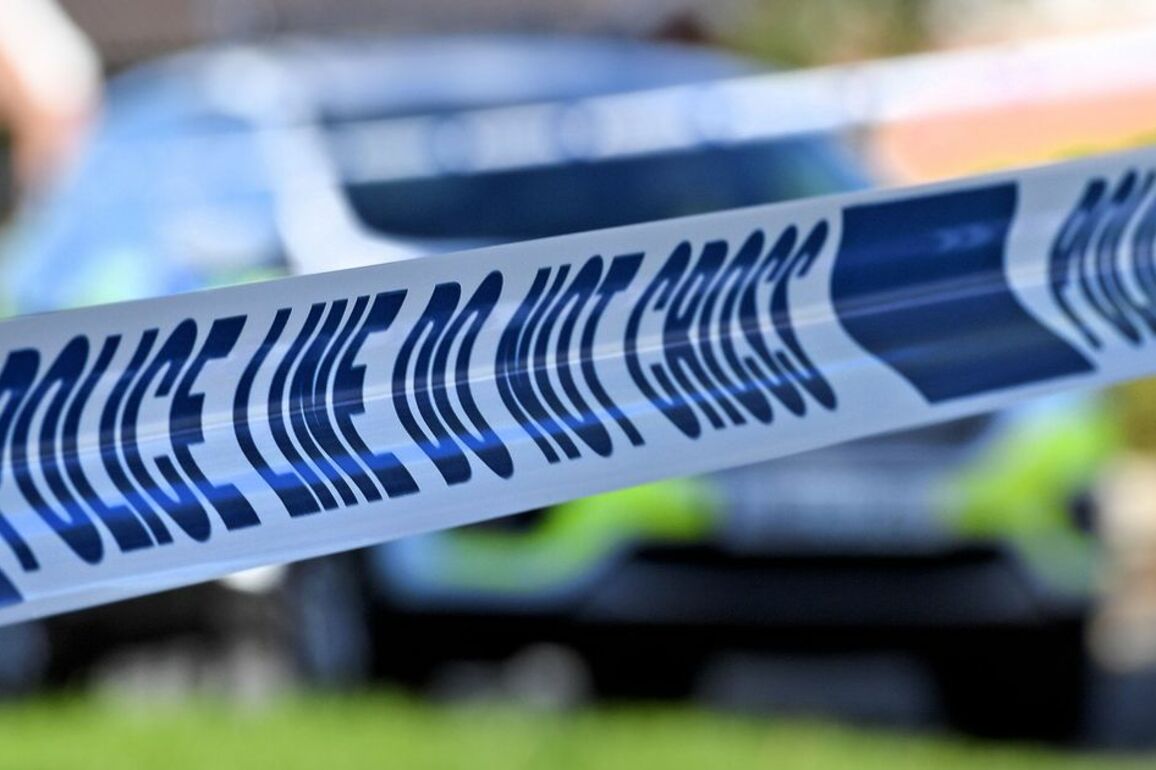 Primary school caretaker, 74, 'chased and attacked' by van driver