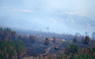 Letters: "One wonders how long the idiocy of this Government will continue by ignoring the danger of wildfires"