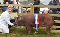 GREAT YORKSHIRE SHOW: Duroc claims pig supreme 