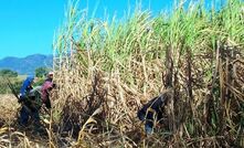 Philippines to mandate national sugar fuel use