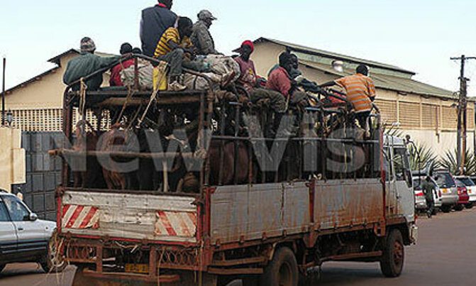 Why abattoirs will be moved from Kampala Why abattoirs will be moved from Kampala