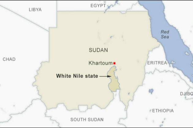 Sudanese RSF paramilitaries kill 100s in White Nile state 