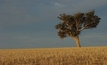 Looming drought prompts calls for national policy