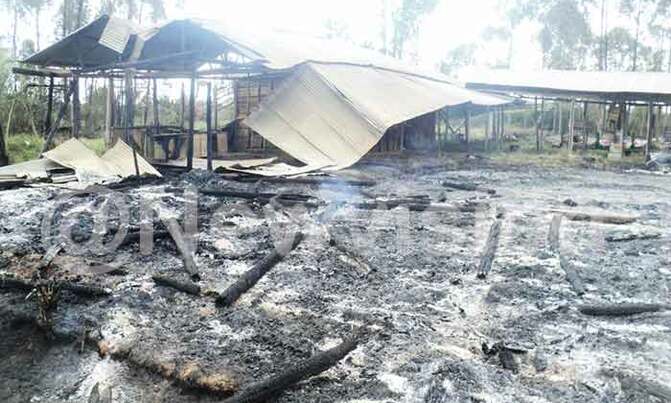 Fire destroys Nakaseke firm Fire destroys Nakaseke firm