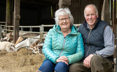 Milking goats are creating a sustainable future for Cumbrian upland farm