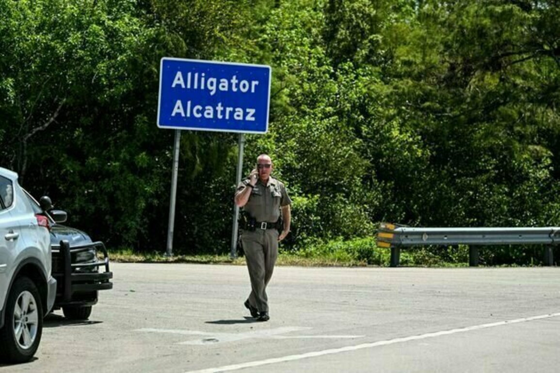 Understanding key terms swirling around Alligator Alcatraz and immigration enforcement in the US