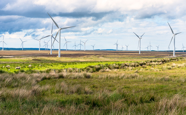 Poll: Two thirds of Tory voters back lifting of onshore wind
farm ban