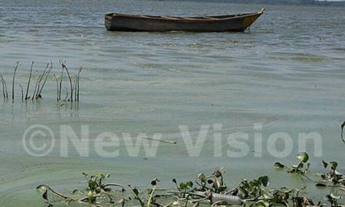5000 fishermen die on Lake Victoria every year-survey 5000 fishermen die on Lake Victoria every year-survey